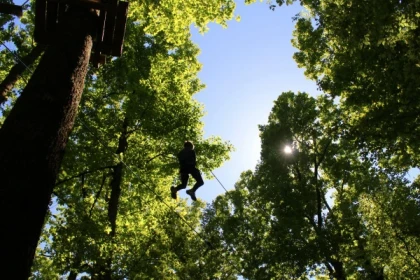 Tree Climbing - Manawa - Bonjour La Rochelle