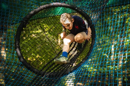 Arbofilets © - app.name