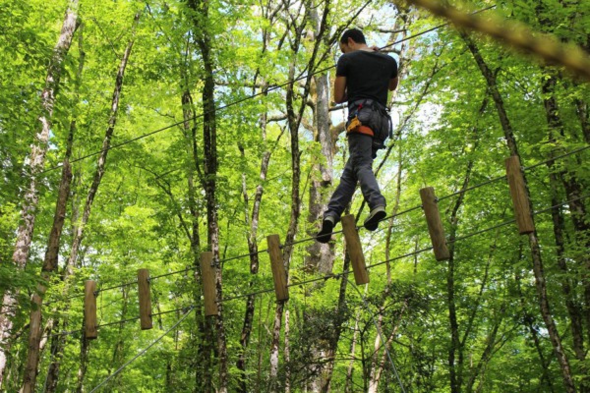 Tree Climbing - Manawa - Bonjour La Rochelle