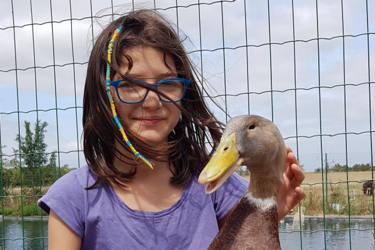  - Bonjour La Rochelle