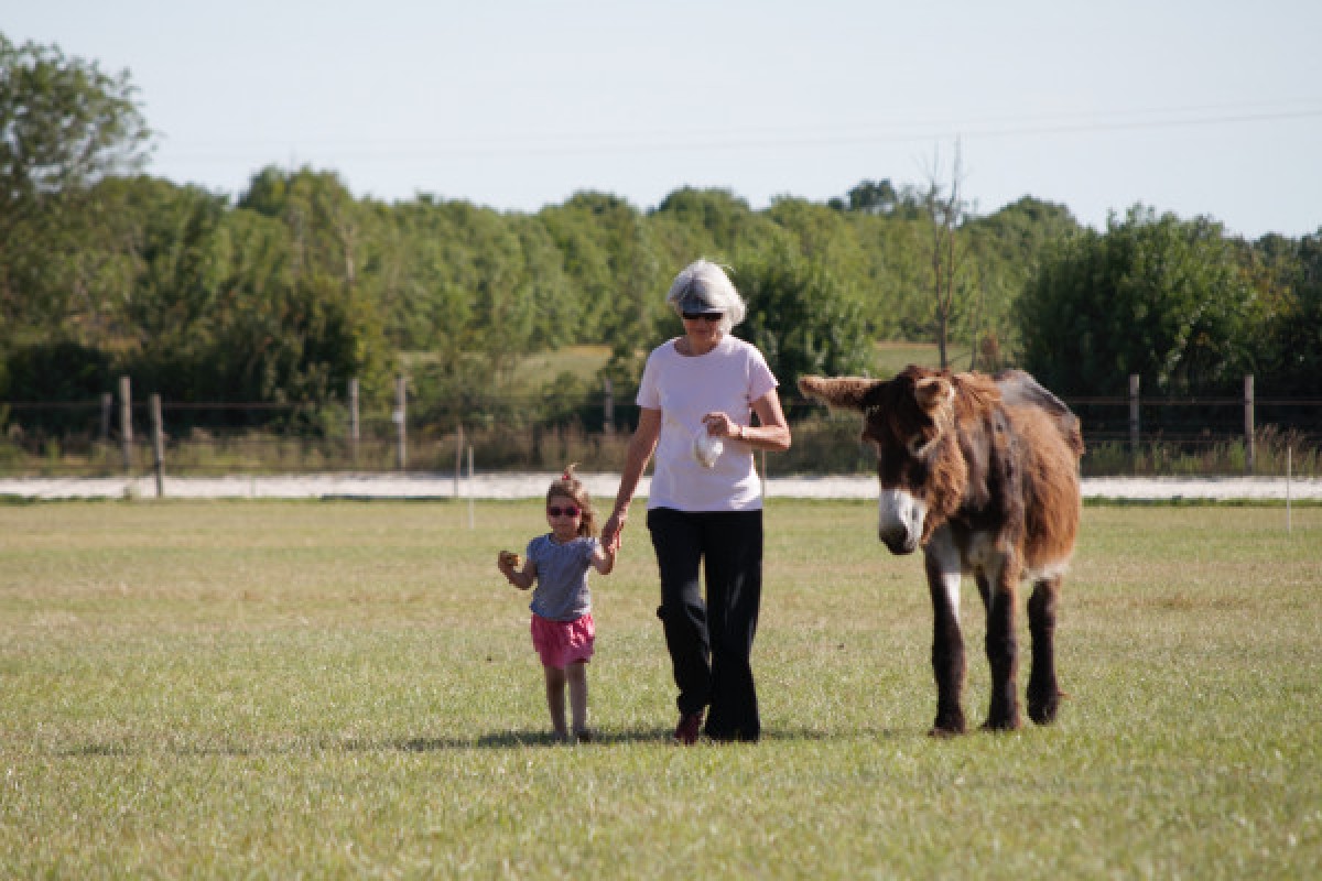  - Bonjour La Rochelle